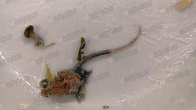 Fabrikada skandal: Önce et sandı çiğnedikten sonra kuyruğu fark edince şoke oldu