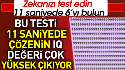 Bu testi 11 saniyede çözenin IQ değeri çok yüksek çıkıyor