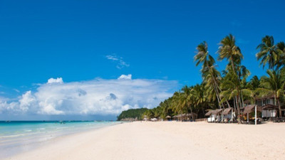 Para kazanmak isteyen gençlere Filipinler'de adres. Şerafettin Tilki açıkladı