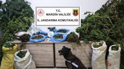 Mardin'deki 'Narko Güç' operasyonunda 7 tutuklama