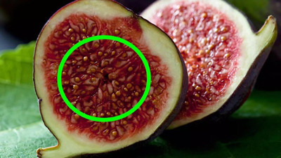 İncir ile ilgili şok edecek bilgi