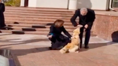 Avusturya Devlet Başkanı Moldova Cumhurbaşkanı'nın köpeğini severken ısırıldı