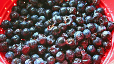 Çakal Eriği neye iyi gelir