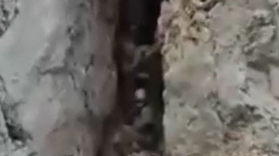 3 Mehmetçiği şehit eden teröristler etkisiz hale getirildi