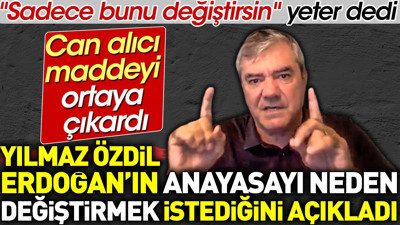 Yılmaz Özdil Erdoğan'ın anayasayı neden değiştirmek istediğini açıkladı. Can alıcı maddeyi açıkladı