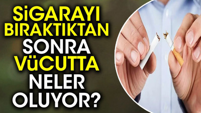 Sigarayı bıraktıktan sonra vücutta neler oluyor?