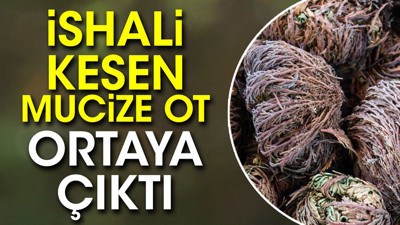 İshali kesen mucize ot ortaya çıktı (21 Kasım 2023)
