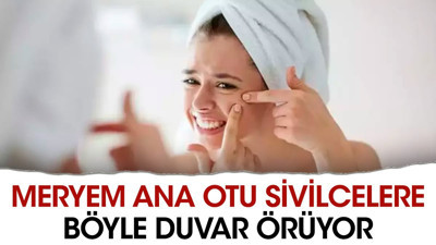 Meryem ana otu sivilcelere böyle duvar örüyor