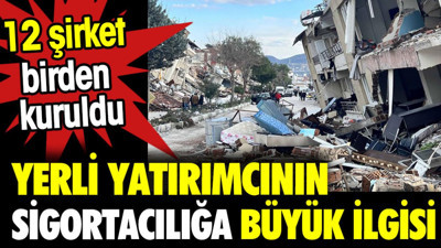 Yerli yatırımcının sigortacılığa büyük ilgisi. 12 şirket birden kuruldu