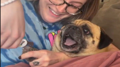 Tırnakları kesilirken çığlık atan köpek