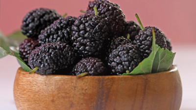 Karadut yaşlanmayı önler mi