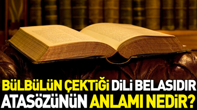 Bülbülün çektiği dili belasıdır atasözünün anlamı nedir?