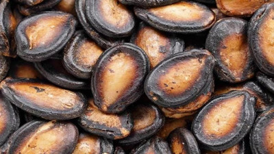 Karpuzun çekirdeği 'beni çöpe atma' dedirtiyor