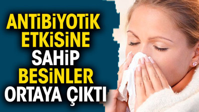 Antibiyotik etkisine sahip besinler ortaya çıktı