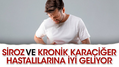 Siroz ve kronik karaciğer hastalılarına iyi geliyor. İşte o ot