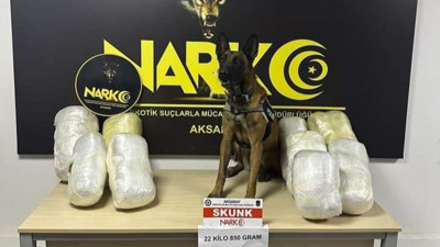 Salatalık kasalarına gizlenmiş uyuşturucuyu 'Bixi' buldu