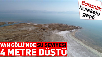 Van Gölü'nde su seviyesi 4 metre düşünce Bakanlık harekete geçti
