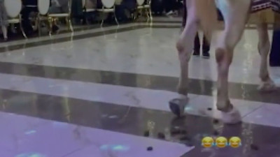 Sünnet düğününde salona sokulan at piste tuvaletini yaptı