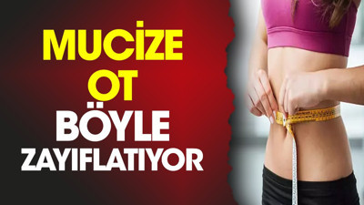 Mucize ot böyle zayıflatıyor (28 Kasım 2023)