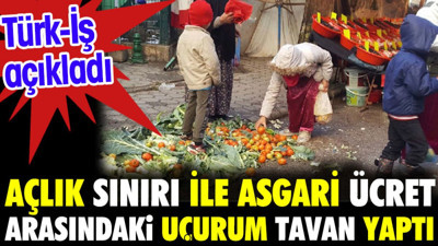TÜRK-İŞ açıkladı. Açlık sınırı ile asgari ücret arasındaki uçurum tavan yaptı