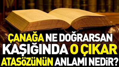 Çanağa ne doğrarsan kaşığında o çıkar atasözünün anlamı nedir?
