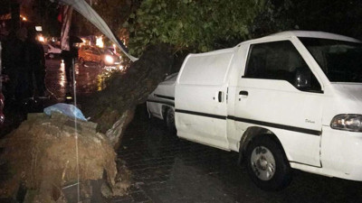 Muğla'da seyir halindeki minibüsün üzerine ağaç devrildi