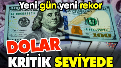 Dolarda kritik seviye. Yeni gün yeni rekor