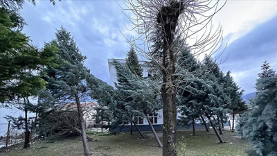 Düzce ve Sakarya'yı kuvvetli rüzgar vurdu: Çatılar uçtu, ağaçlar devrildi