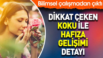 Bilimsel çalışmadan çıktı. Dikkat çeken koku ile hafıza gelişimi detayı