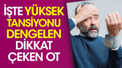 İşte yüksek tansiyonun dengelen dikkat çeken ot