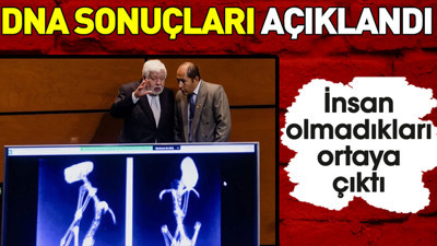 DNA sonuçları açıklandı. İnsan olmadıkları ortaya çıktı