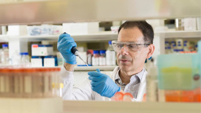 Yaralar dikişsiz kapanır mı