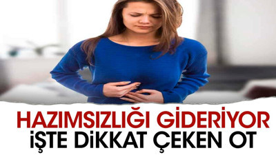 Hazımsızlığı gideriyor. İşte dikkat çeken ot