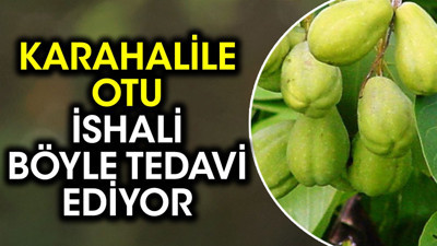 Karahalile otu ishali böyle tedavi ediyor