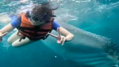 Okyanusta balinayla karşılaştı, kameraya poz verdi