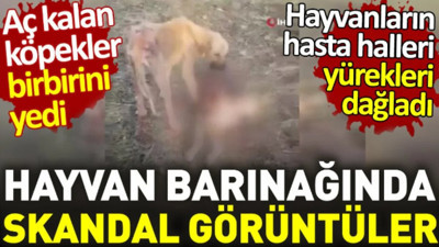 Yolcu otobüsü seyir halindeyken yandı, otobüs kullanılamaz hale geldi