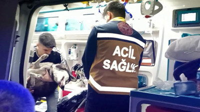Yangından kurtarılan köpek suni teneffüs ve kalp masajı ile hayatta kaldı