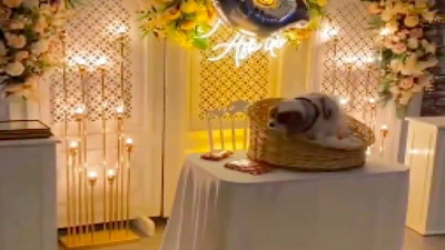 Bu da oldu! Gofret isimli köpeğe salon tutup doğum günü partisi düzenlediler