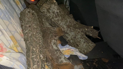 Pide salonunun odunlarını çalarken yakalandı