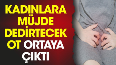 Kadınlara müjde dedirtecek ot ortaya çıktı