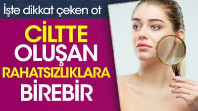 Ciltte oluşan rahatsızlıklara birebir. İşte dikkat çeken ot