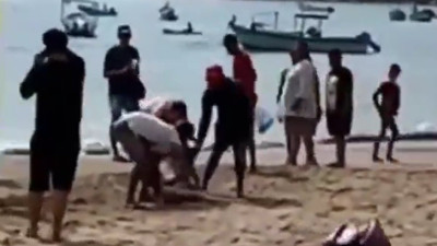 Meksika'da köpekbalığı dehşeti