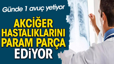 Akciğer hastalıklarını param parça ediyor. Günde 1 avuç yetiyor