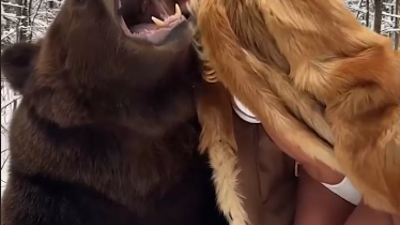 Ayıyla piknik yapıp dans etti. Kürk akımına ayıyla katıldı