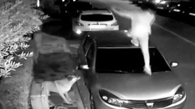 Sokak köpeklerinden kaçmak için arabanın üzerine çıktı