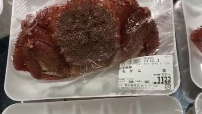 Yengeçleri diri diri paketlediler