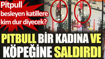 Pitbull bir kadına ve kucağındaki köpeğe saldırdı. Pitpull besleyen katillere kim dur diyecek