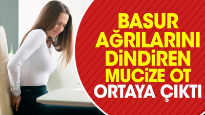 Basur ağrılarını dindiren mucize ot ortaya çıktı