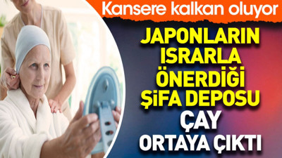 Japonların ısrarla önerdiği şifa deposu çay ortaya çıktı. Kansere kalkan oluyor