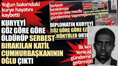 Kuryeyi göz göre göre ezip serbest bırakılan diplomat Somali Cumhurbaşkanının oğlu çıktı